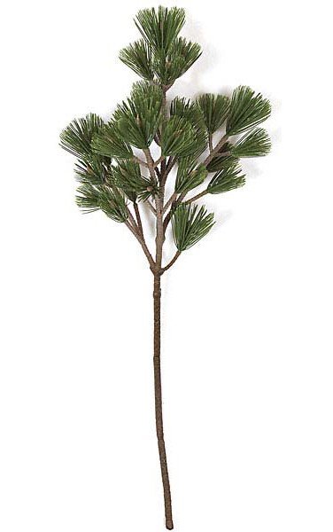 32" PINE BRANCH STEMS