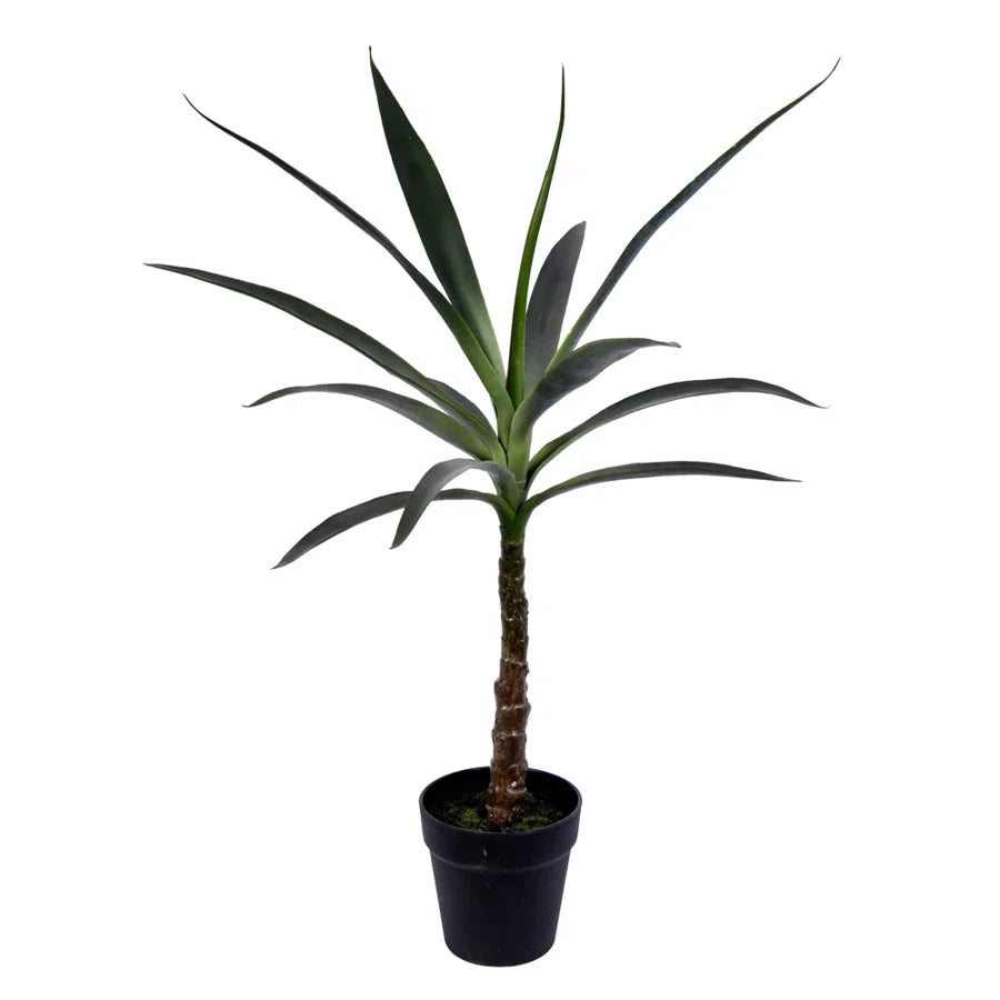 30" YUCCA TREE