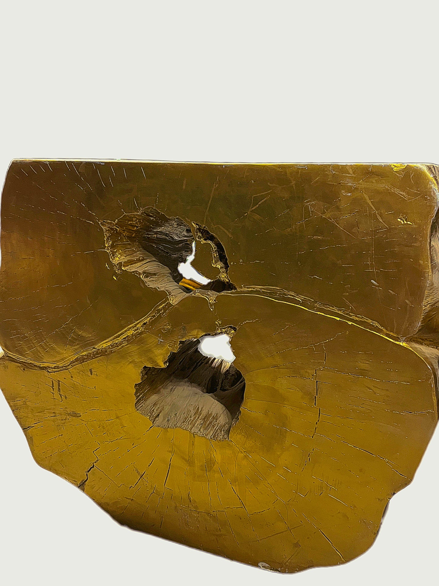 GOLD LIVE EDGE TREE STUMP CONSOLE TABLE