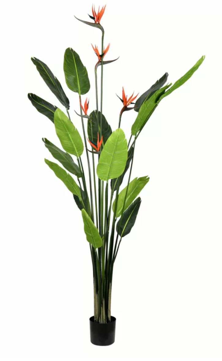 48" BIRDS OF PARADISE PALM TREE