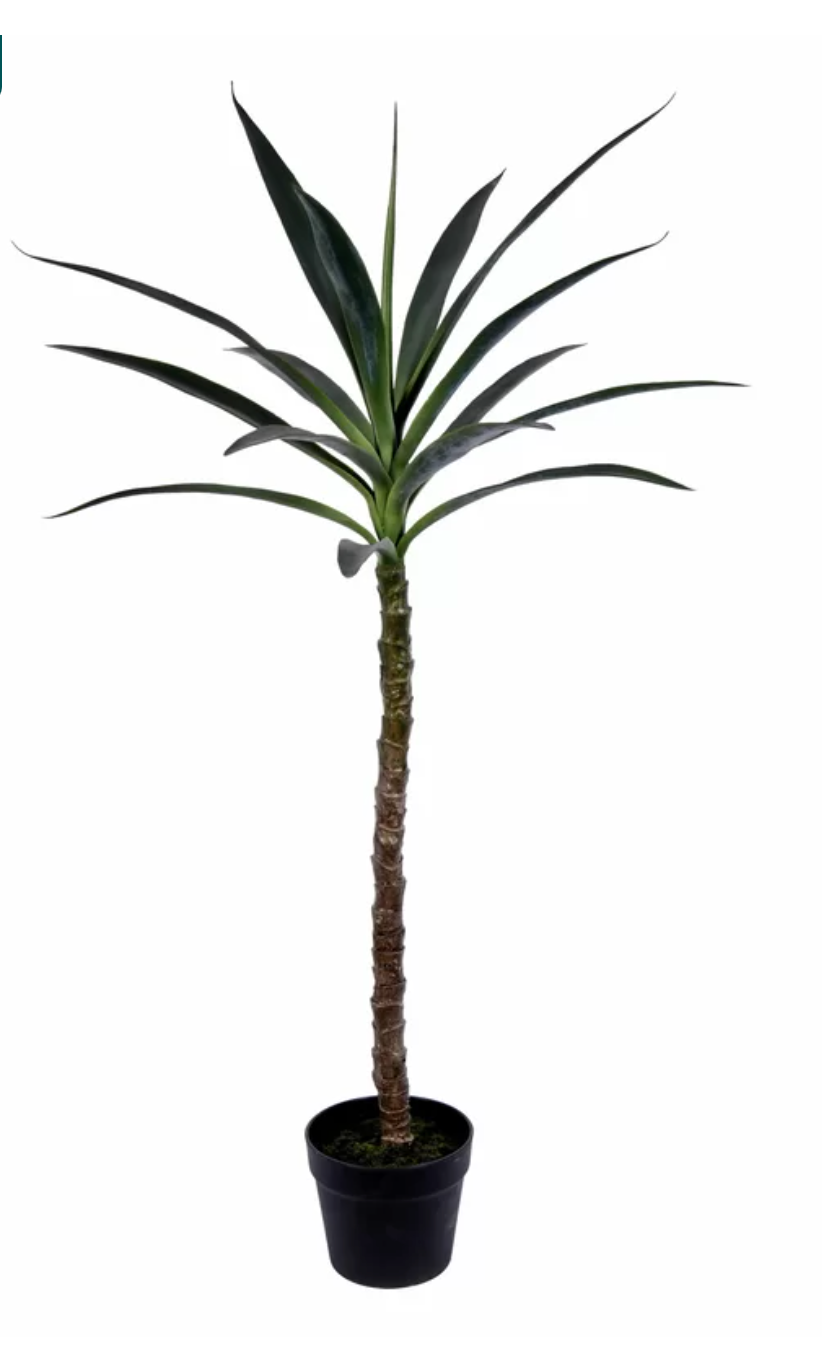 44" YUCCA TREE