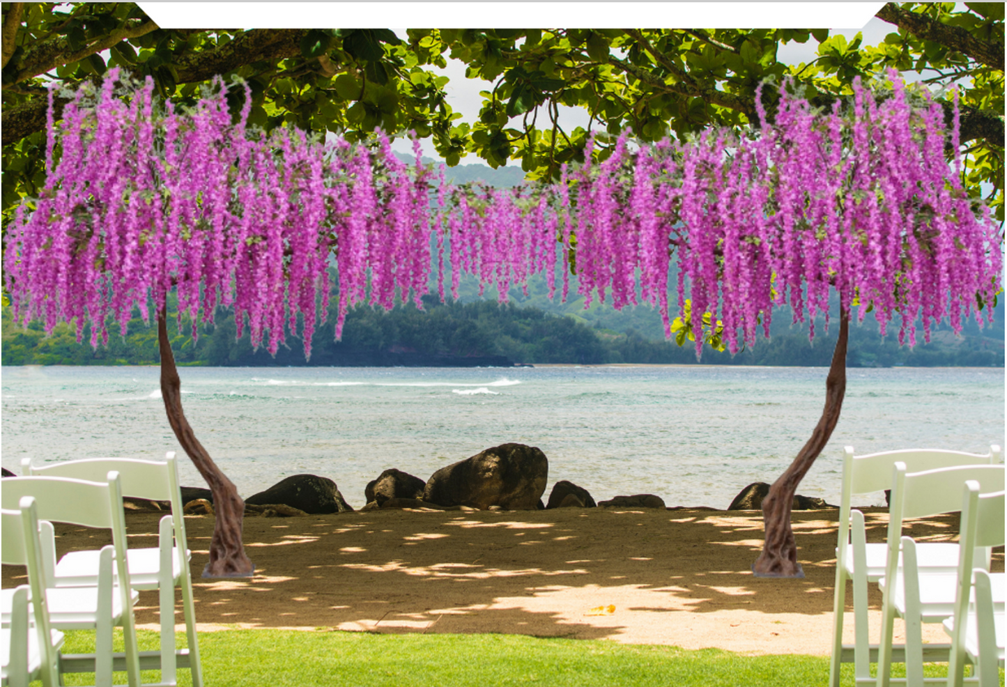 EXTRA LARGE SIDESWEPT WISTERIA TREE FUSHIA PINK AND VIOLET