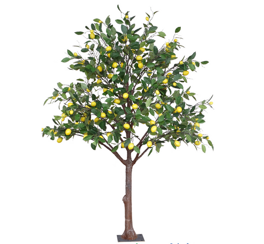 LARGE LEMON TREE - 7'TALL X 5'WIDE