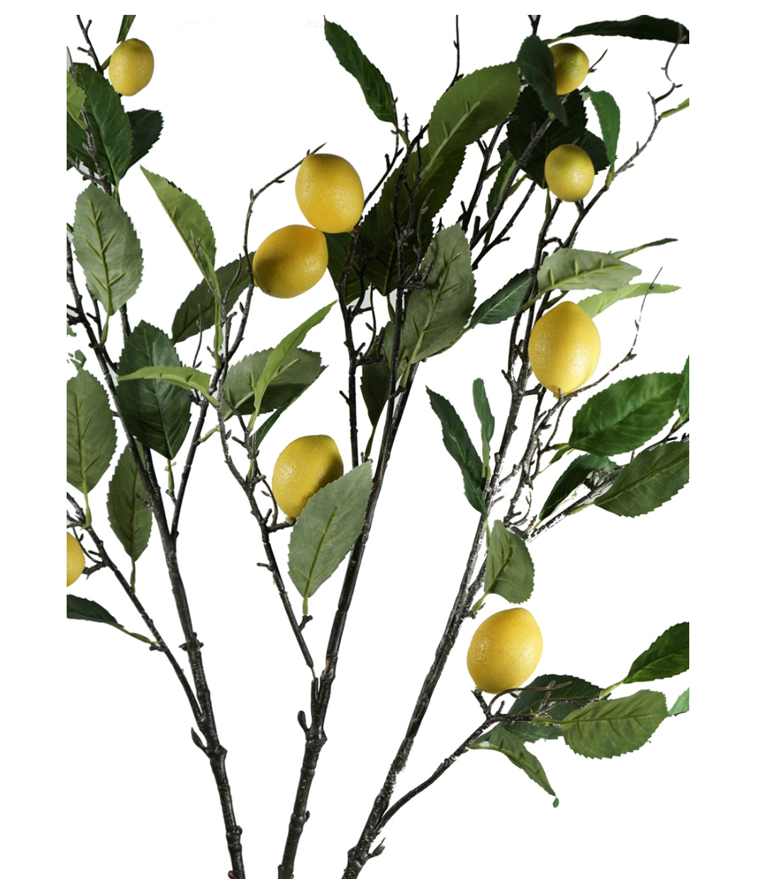 LARGE LEMON TREE - 7'TALL X 5'WIDE