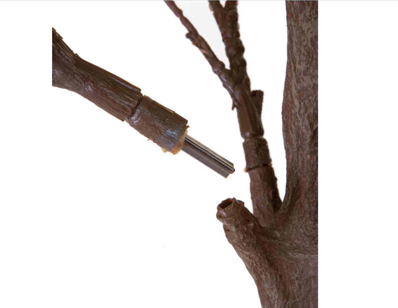 LARGE LEMON TREE - 7'TALL X 5'WIDE