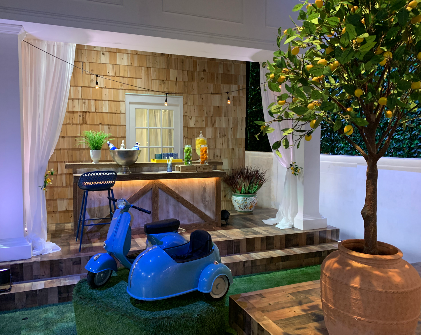 LARGE LEMON TREE - 7'TALL X 5'WIDE