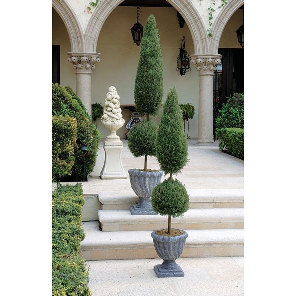 Classic Topiary Tree